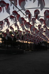『金魚ちょうちん』白壁の町並み  山口県柳井市観光