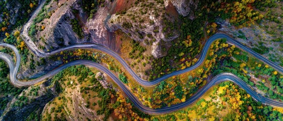 Obraz premium Captivating aerial panorama of a winding mountain road snaking through a vibrant autumn forest, showcasing spectacular fall colors and natural beauty