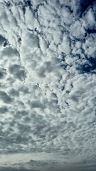 Rugged stone surface with earthy mineral patterns