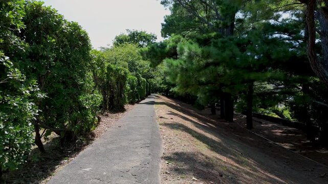 「濱口梧陵が造った広村堤防主観撮影」和歌山県広川町 Point-of-View Shot of the Hiro Village Seawall Built by Hamaguchi Goryō &ndash; Hirogawa Town, Wakayama Prefecture