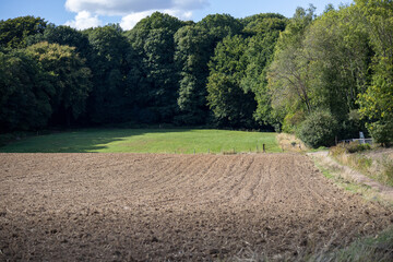 Plowed field, green meadow, and a dense forest in the French countryside
