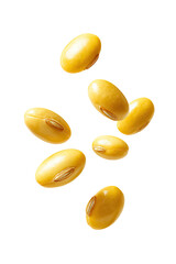 Fototapeta premium Golden soybeans, scattered in mid-air