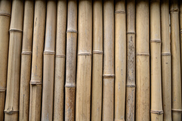Old reed wall. Cane background