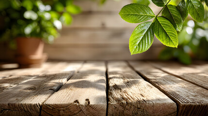 Wooden table with green plants in background
