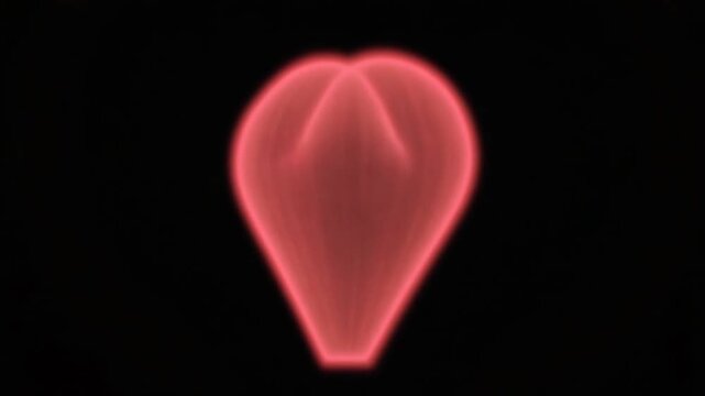 Animation heart shape on black background.