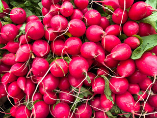 Organic readish in market