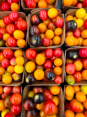 Organic cherry tomatoes