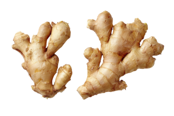 Two pieces of fresh ginger root, light beige/tan color, displayed side-by-side against a black background.  Each piece shows multiple knobby,  branching sections