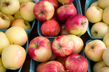 Organic Red Apple Farmer's Market Penticton Okanagan Valley