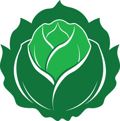 Green Cabbage Vegetable Illustration with Layered Leaf Highlights