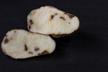 Papa o patata blanca con enfermedad y en malas condiciones, plaga, gusano, polilla, hongos