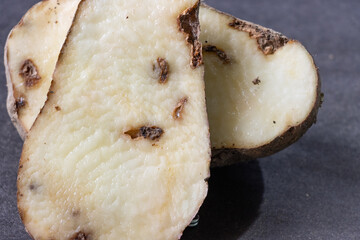 Papa o patata blanca con enfermedad y en malas condiciones, plaga, gusano, polilla, hongos