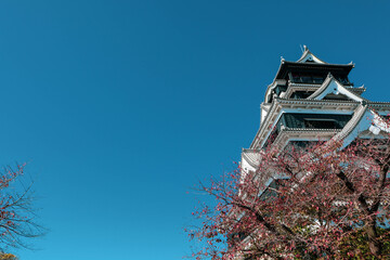 Kumamoto Castle with Autumn Leaves and Blue Sky in Japan