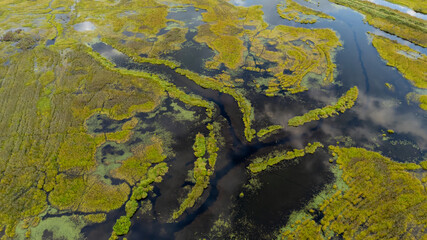 Aerial View of Marshy Wetlands and Lakes in BC, Canada During Daylight