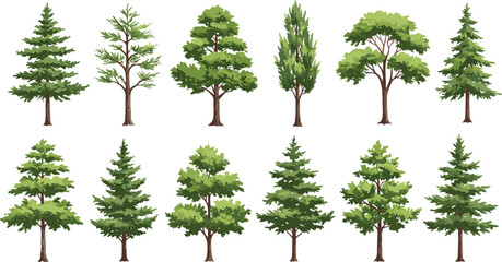 Set of green forest trees illustration, different deciduous and evergreen foliage, natural tree collection, botanical clipart, isolated tree elements, cartoon tree bundle, vector drawing © Obaidul Vector Zoon