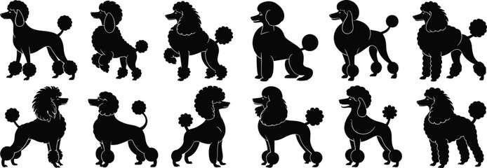 Vector illustrations of black silhouettes of people in various sports actions like running and dancing