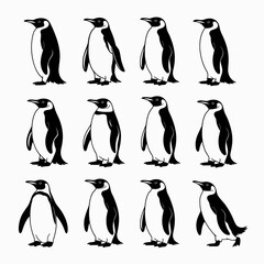 Penguin Bird Icon Vector