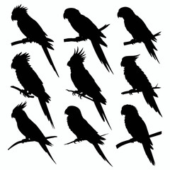 Bird Silhouette Vector Pack