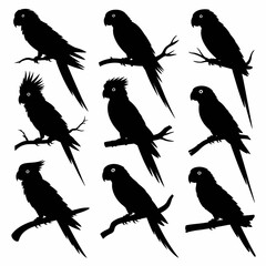 Tropical Parrot Silhouette Set