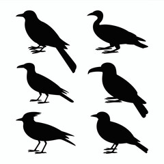 Crow Silhouette Vector Collection Black Bird Icons
