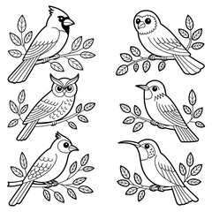 Hand Drawn Bird Vector