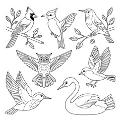 Bird Outline Illustration Set