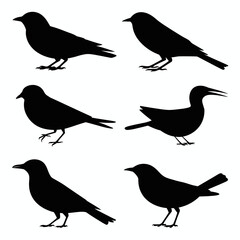 Raven Crow Bird Silhouette Vector Icons Isolated Set