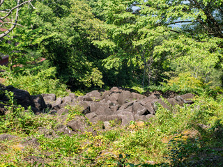 緑に包まれた巨石の風景