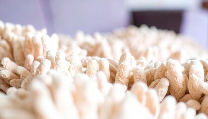 Close-Up of Ivory Boucle Carpet Texture