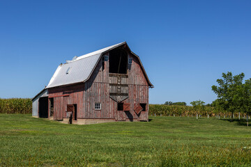 Obraz premium old red barn in the field
