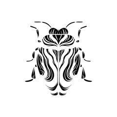 black and white beetle isolated on white background