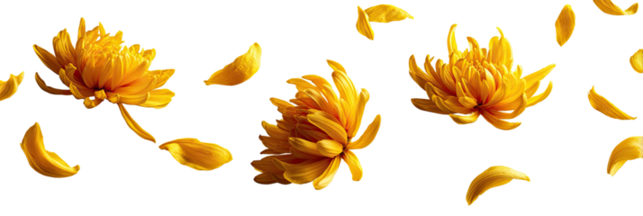 Golden flower petals, digitally rendered, falling against a black background.  