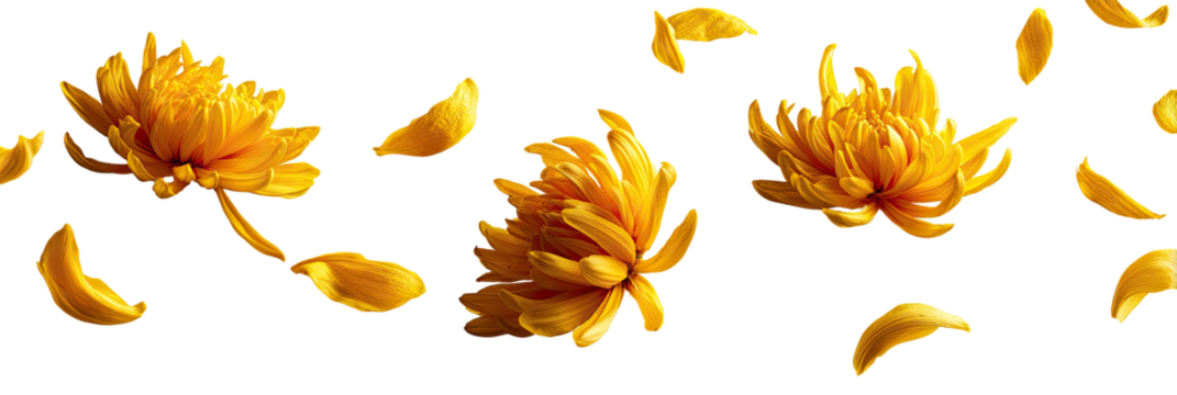Golden flower petals, digitally rendered, falling against a black background.  