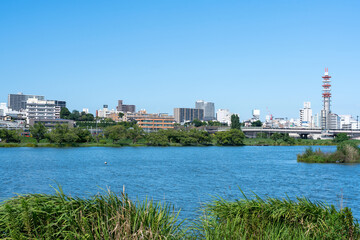 Naklejka premium 千波湖と市街地の風景（茨城県水戸市）