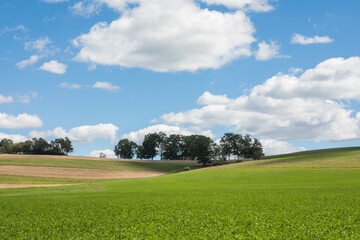 Scenic meadow and rolling hills under blue sky, USA