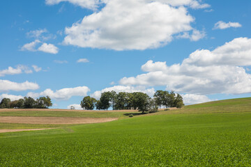 Scenic meadow and rolling hills under blue sky, USA