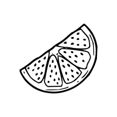 citrus fruit slice line art