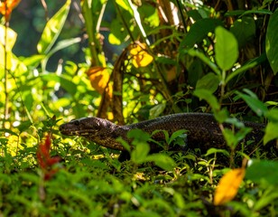 Obraz premium Reptile amidst lush foliage