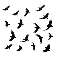 Obraz premium Silhouette of Numerous Bats in Flight: Night Sky Pattern transparent background png