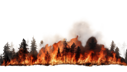 Wildfire Inferno: Burning Forest Landscape transparent background png
