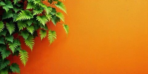 Fresh green fern leaves cascading over textured vivid orange stucco wall with spring morning light