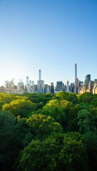 Fototapeta premium Lush green trees in central park with a city skyline backdrop