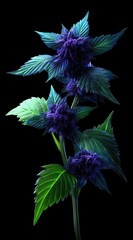 A digital illustration of a vivid, otherworldly plant with dark purple blooms and lush green-blue leaves, set against a solid black background