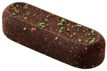 Oval-shaped object filled with soil and small green plants