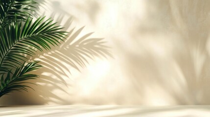 Green palm leaves casting natural shadows on a soft beige textured wall with warm sunlight creating a calm and serene ambiance