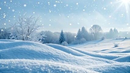 Fototapeta premium Gentle snowflakes drift down through hazy light over a frosty winter landscape