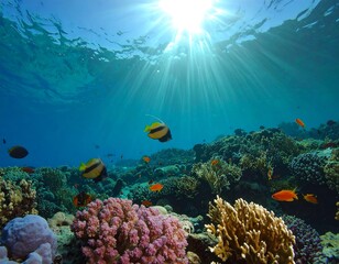 Fototapeta premium Underwater coral reef scene, sun rays