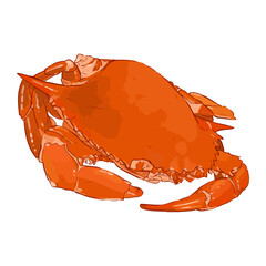 Crab