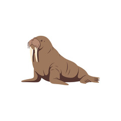 Flat cartoon vector illustration of a walrus with large tusks, minimal and simple design, brown body, isolated, playful style