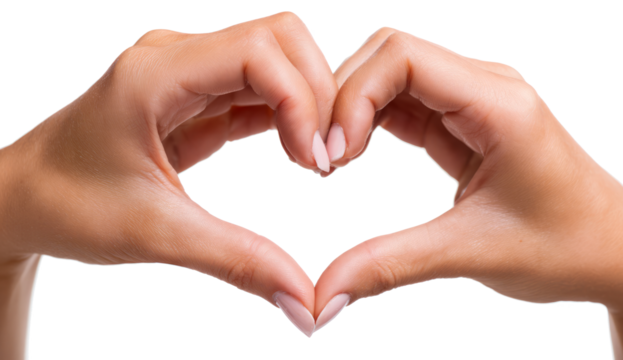 Hands Forming Heart Shape on White Background Natural Skin Tone Romantic Gesture